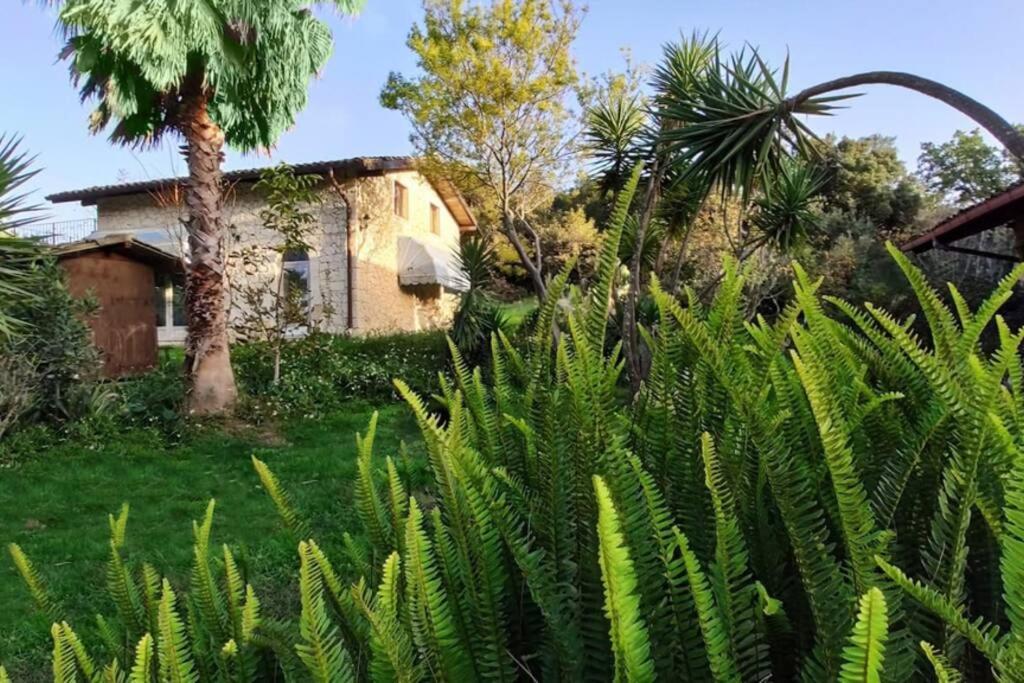 Villa Neli, Palazzolo Acreide, Siracusa, Hot Tub, Wi-Fi & Parking Экстерьер фото